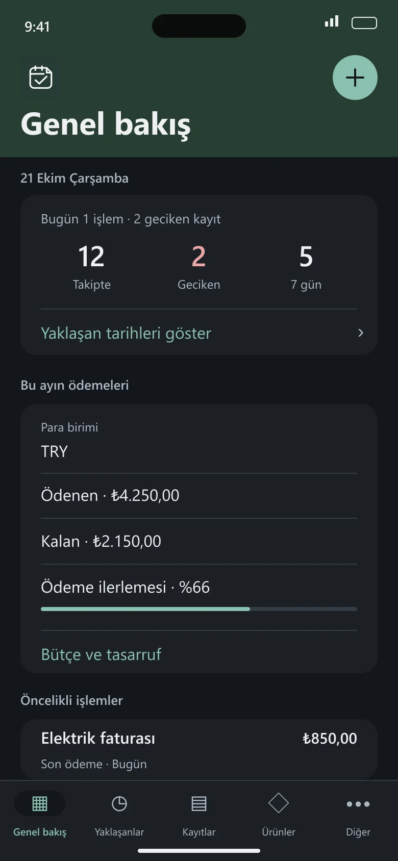 Son Gün’ün koyu görünümü için hazırlanmış örnek genel bakış ekranı
